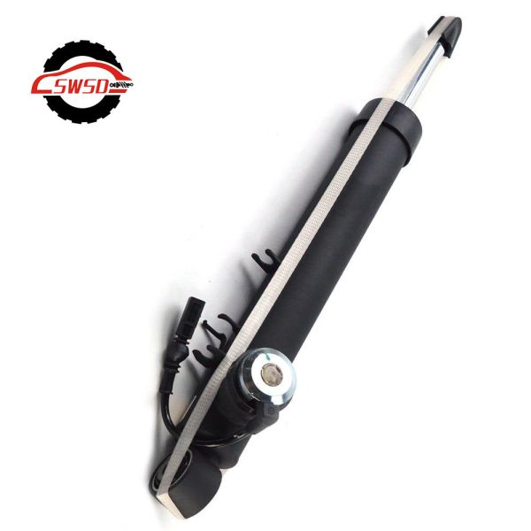 8R0513026 8R0513025 Pneumatic Shock Absorber