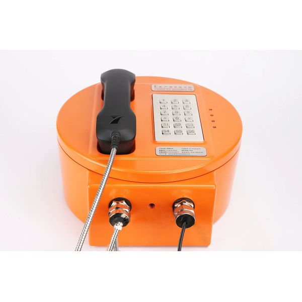 Explosion Proof Telephone with Strong Noise Canceling IP66 Protection Grade and 30W Built-in Amplifier for Hazardous Areas