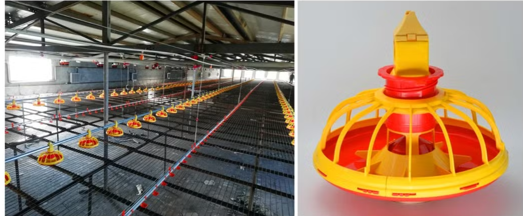 Automatic Poultry Feeding System with Galvanized Steel Construction and Automatic Feeding Control for Chicken Farm Equipment