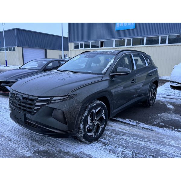 Hyundai Tucson L 1.5T DCT GLX GLS LUX TOP Edition Suv