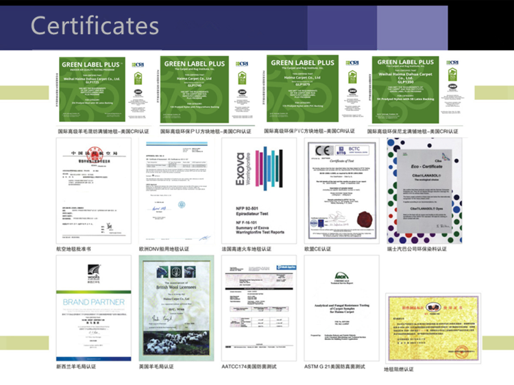 Hotel Hallway PET FRIENDLY 100% Nz Wool Axminster Carpet with Luxury Customized Design