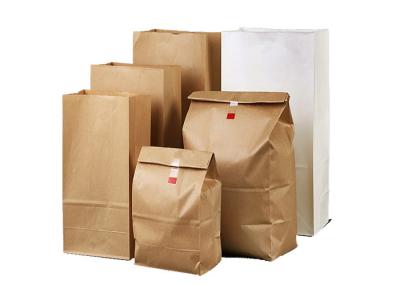 Food Grade Multiwall Kraft Paper Bags Recyclable Eco Friendly Biodegradable GMP Standard