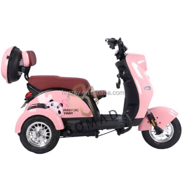 2024 Hotselling Electric Tricycle 3 Wheel Motorcycle Bike with Single Gross Weight of 75.000 kg and Range per Power 60 km