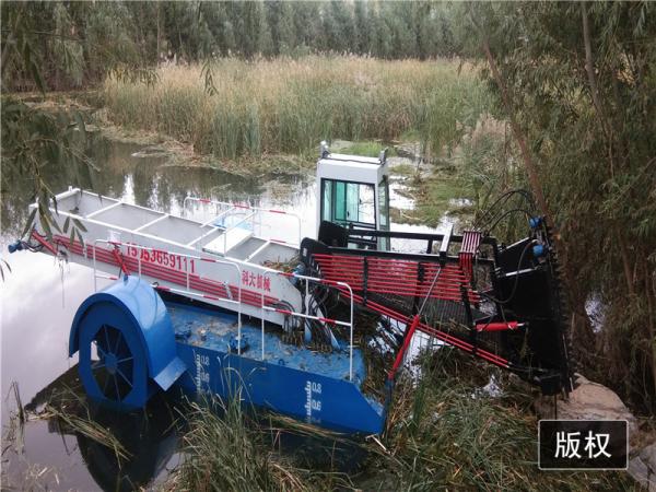 Rio do lago de KEDA que limpa a água aquática Hyacinth Cutting Machine da ceifeira da erva daninha