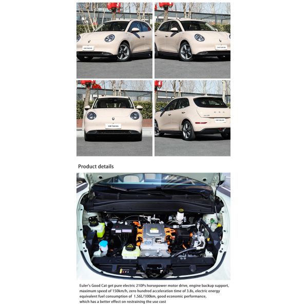 Седан мини электромобиль Автомобили высокой скорости Малый электрический седан Ora Cat Для взрослых