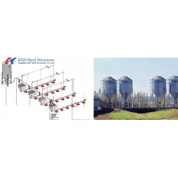 Granja de aves de corral moderna Granja de pollos Edificio de estructura de acero estructura de acero ligero Casa de aves de corral