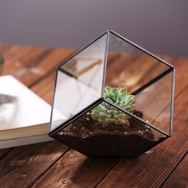 Geometric Cubic Moss Glass Homeware Flower Plant terrarium Planter Seamless Solder