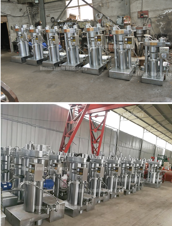 Давление большой машины прессы гидравлического масла емкости высокое для сезама/оливки