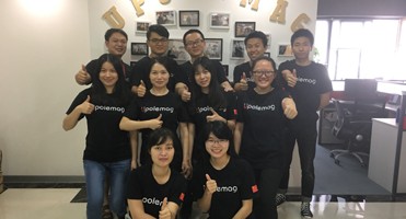 Видеотехническая поддержка PML-300 SDF3.5 Постоянный магнитный подъемник