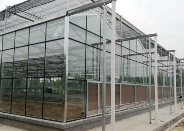 Steel Vegetables Hydroponic Multi Span Glass Greenhouse