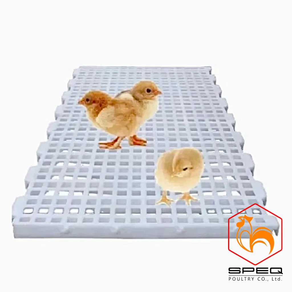 Customizable Poultry Breeding Broiler Equipment Chicken Farm Feeding Line