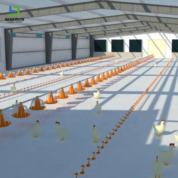 Custom Steel Structure Poultry House for Chicken Farming