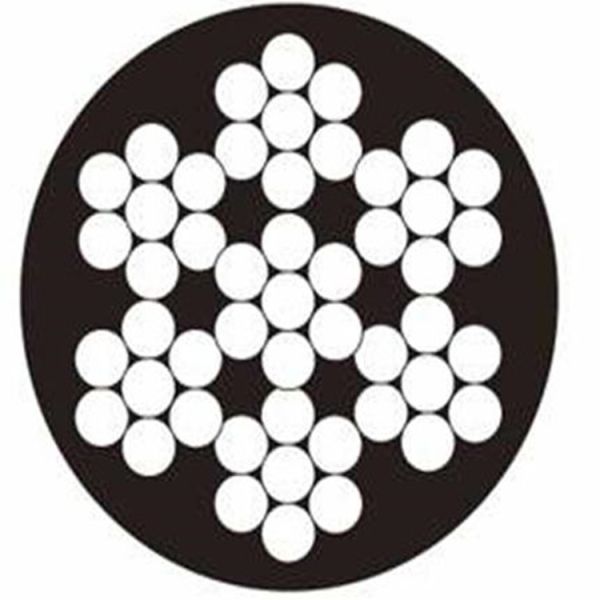 Cable y estaca para atar perros con núcleo de acero recubierto de PVC y correas para mascotas