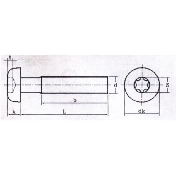 Marine Grade White Stainless Steel Screws , Industrial Round Head Screws