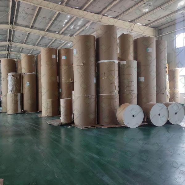 Recyclable And Biodegradable Kraft Paper Rolls For Environmentally-Friendly Packaging