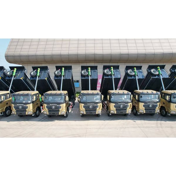 Shacman X3000 6x4 380HP Heavy-Duty Tipper Dump Construction Cargo Tractor Truck