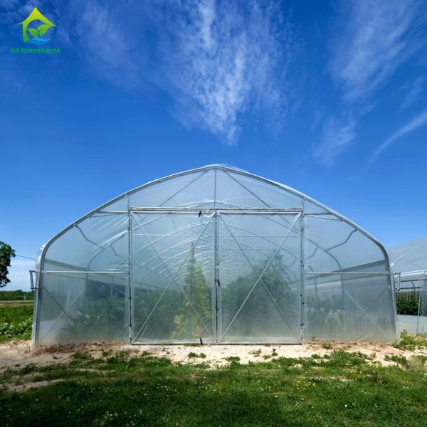 Commercial Plastic PE Film Seedling Poly Tunnel Greenhouse For Tomato Growing
