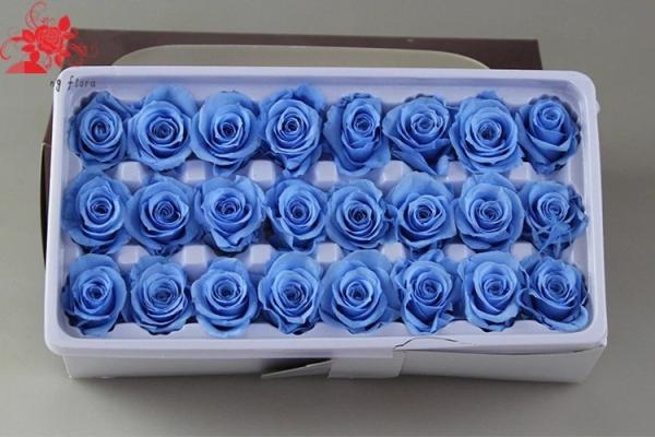 Wholesale real preserved rose stabilized natural preserved fresh flowers for Valentines day