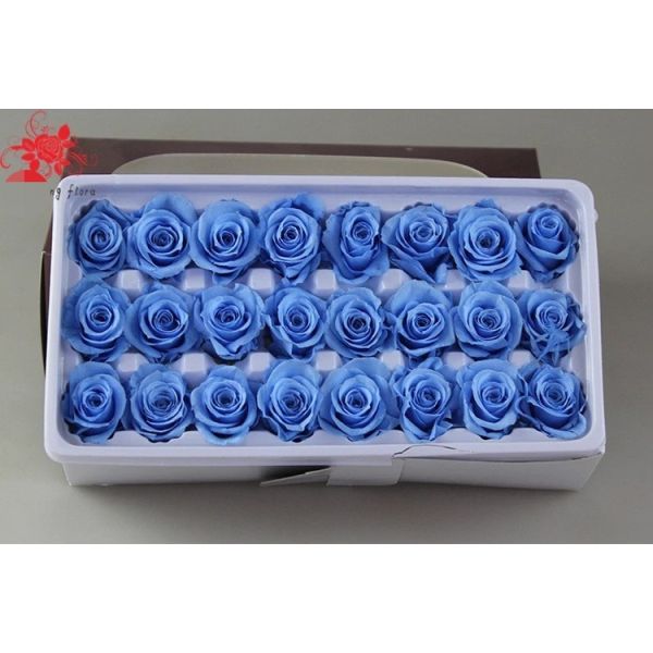 Wholesale real preserved rose stabilized natural preserved fresh flowers for Valentines day