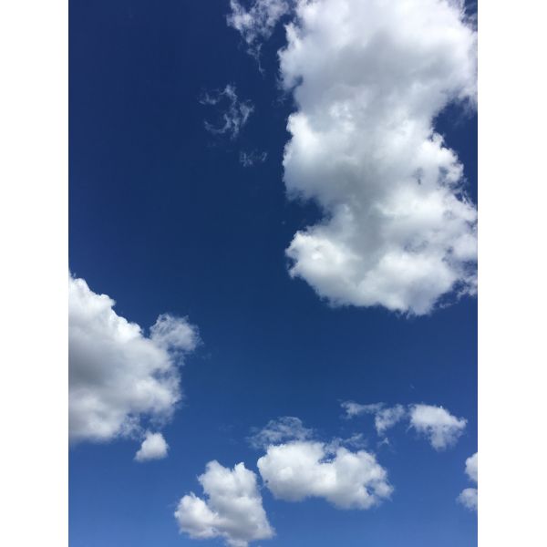 Non Magnetic Led Panel Light Decoration Blue Sky MRI Soft Film Ceiling Led Lights For Mri Room