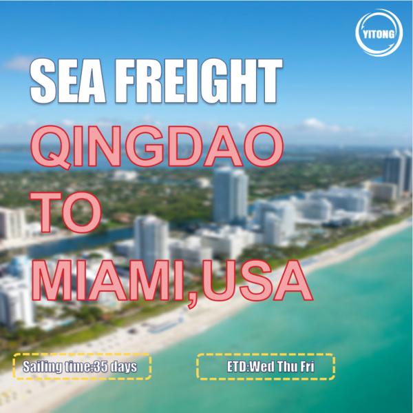 35 Days China To USA Sea Freight Forwarders From Qingdao To Miami Port To Port