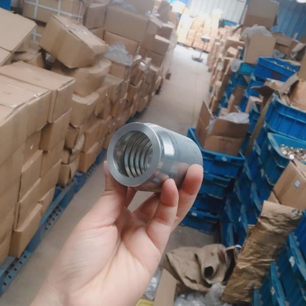 A fábrica 00110 de Ningbo 03310 00200 00400 sleeve a virola hidráulica da mangueira dos encaixes