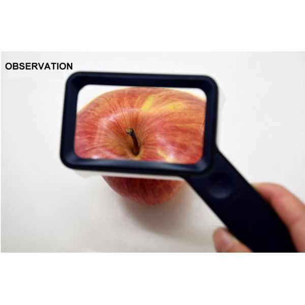 3X Handheld Screen Magnifier LED Light Book Reading Maintenance Identification Collection Jewelry Antique Foldable Desktop