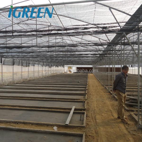 Roof Window Multi Tunnel Greenhouse With Zinc Coating 275gsm And Tunnel Width 8m