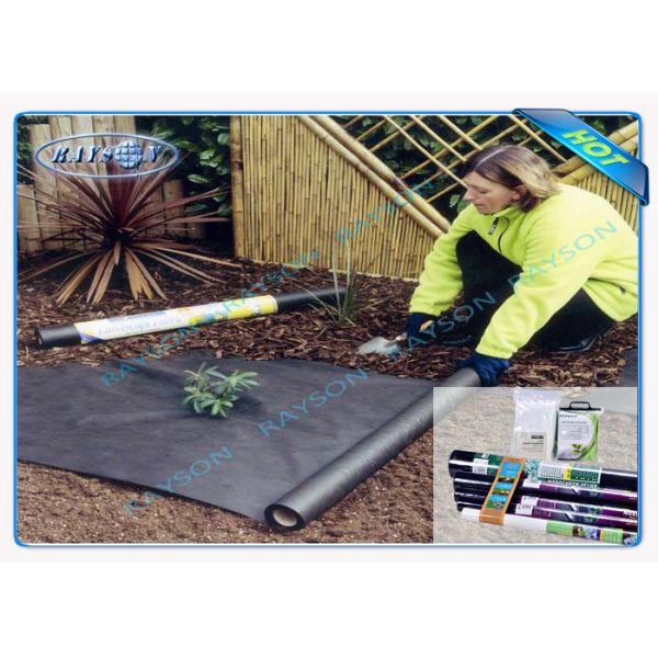 Tissu anti-mites non tissé de paysage de pp Spunbond dans l'agriculture