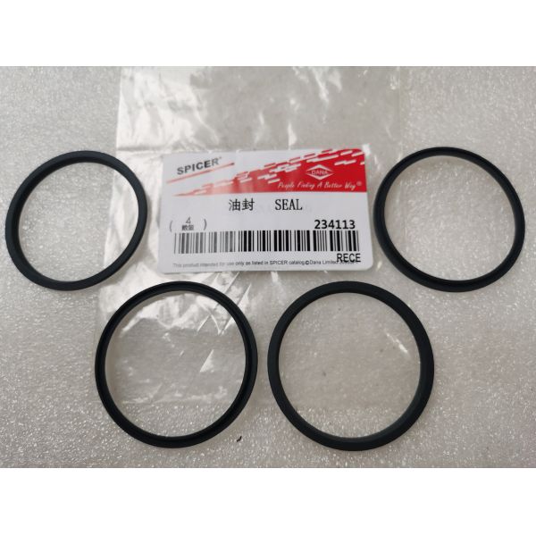 60285118 234113 SEAL RING60285255 4501454 Original Spare Parts 1205FT20640 for SANY Rough Terrain Crane