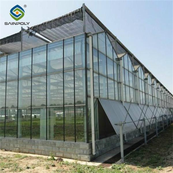 Customizable Dutch Venlo Greenhouse For Vegetables With Intelligent Control System