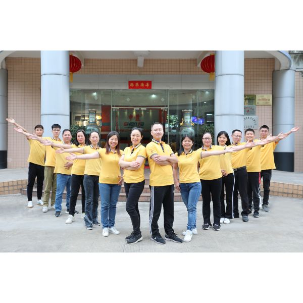 Silk Screen Printer Serigraphic Machine
