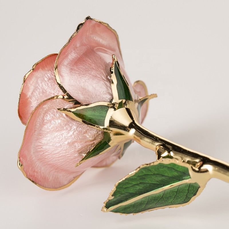 Wholesale Real Rose Dipped 24k Gold  Preserved Fresh Flower Peach pink Everlasting Rose for Valentine's Day, Birthday Gifts