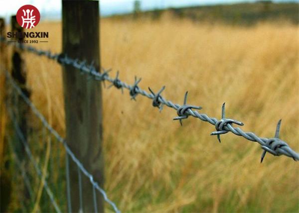 Cross Type 100m Galvanized Barbed Wire with 4 Barbs