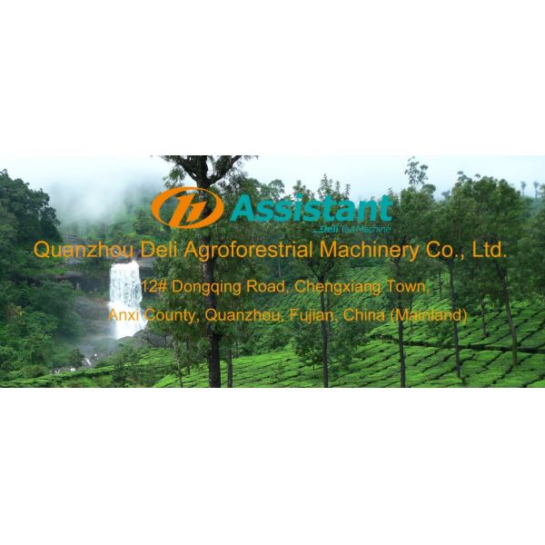 Kawersaki Tea Harvesting Machine Dl-4Cp-1210 Petrol Gasoline Chain Saw Parts for Your