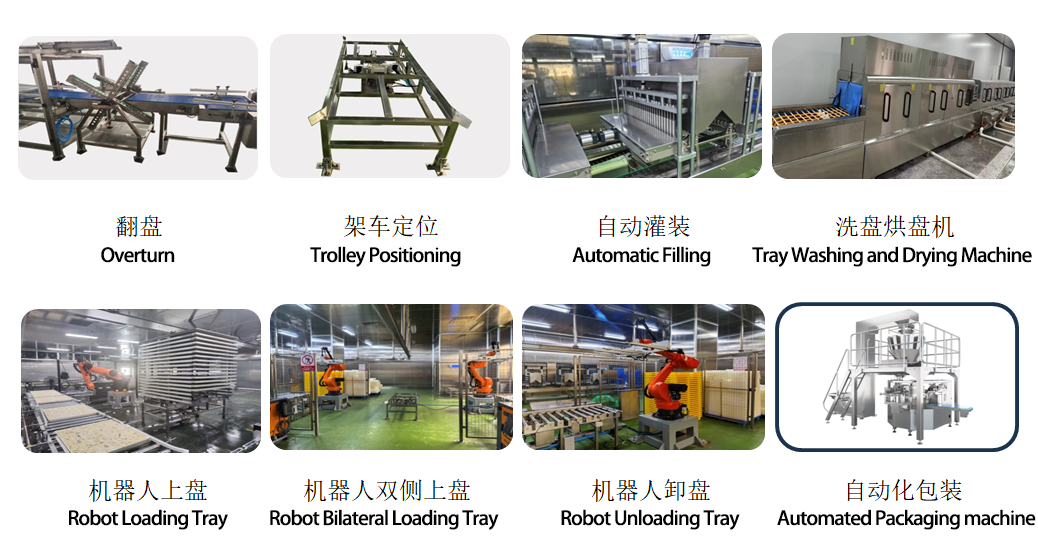 Freeze Dryer Loading & Unloading Robot – Automatic Tray Handling