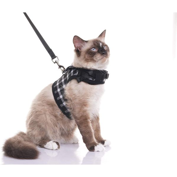 Воротник проводки кота ткани милого стиля британцев мягкий