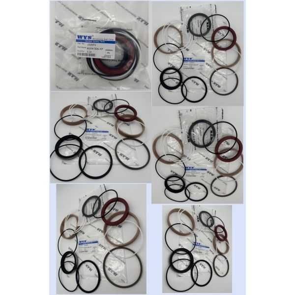 WYS Original Parts LS160F2 High Quality Excavator Repair Parts Boom Seal Kit For CATERPILLAR KOMATSU HYUNDAI HITACHI