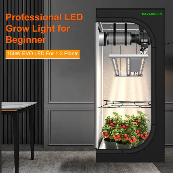BAVAGREEN 150W LED Grow Lampe Vollspektrum Samsung LM301H EVO UV IR Plant Lamp For 60x60x180cm GrowZelt Kit Komplettes