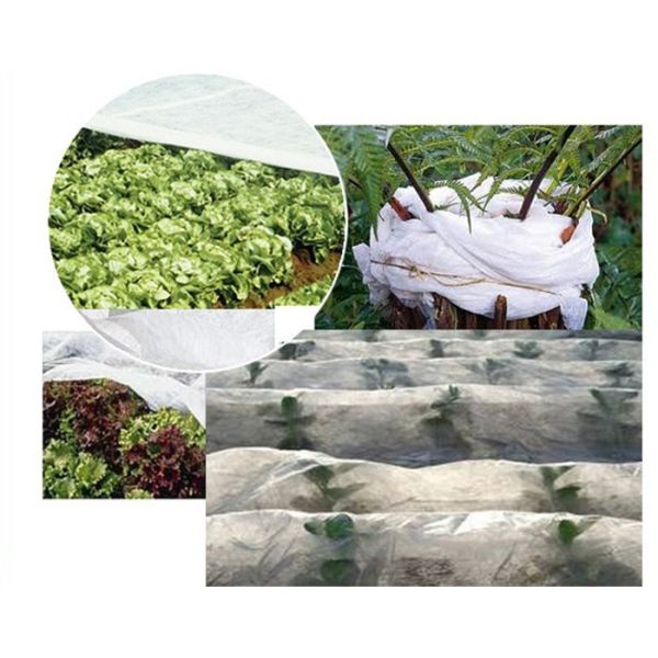Garden Ground Cover Fabric / Weed Control Non Woven Fabric For Maintain Temperature