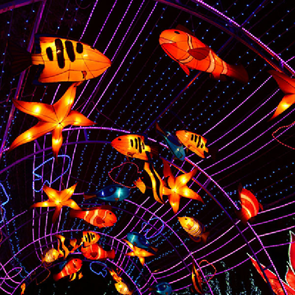 Winter Lantern Holiday Creative Decoration Underwater Sea World Lighting Lantern