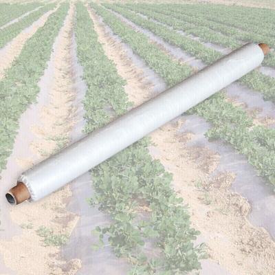 Agricultural Nonwoven Fabric , SMS , PP , PET , Anti-cold Anti-UV Anti-aging