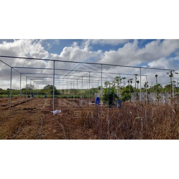 Serre rectangulaire en acier de haute qualité avec système d'ombrage et contrôle de la température