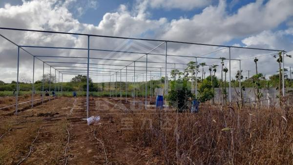 Temperature Controlled Rectangle Light controlled Greenhouse with Shading System