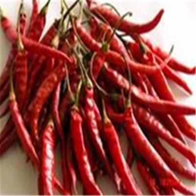 Air Dried Erjingtiao Dried Chilis Stemless and Packed with Chili Peppers