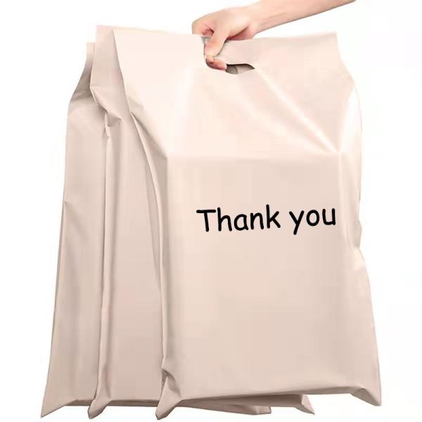 Custom Poly Express Parcel Mailer Shipping Bags Biodegradable For Clothing