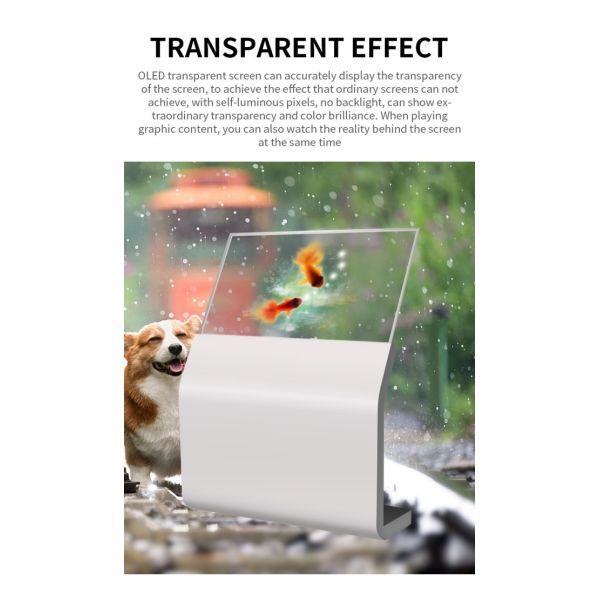 Factory Direct Sales Organic Light-emitting LG OLED Transparent TV 55 Inch Horizontal Touchscreen Display Kiosk
