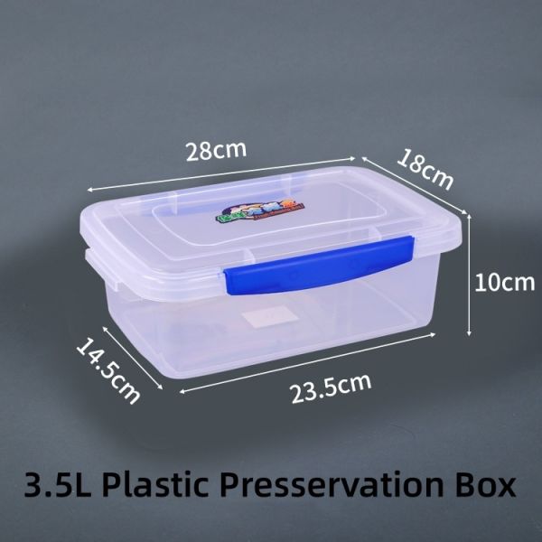 Simple Style Refrigerator Plastic Box for Clear Vegetable and Fruit Storage US Currency