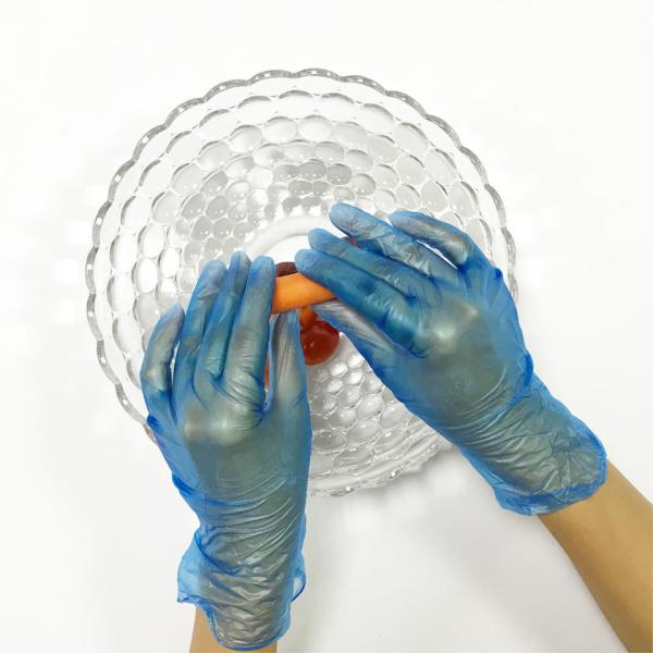 Disposable Vinyl Exam Gloves Wholesale Powder Free Vinyl Gloves for Food Service PVC Glovees for Cleaning
