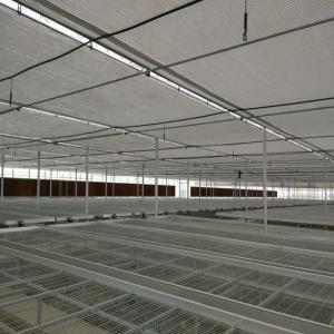 Sistemas agrícolas do banco da estufa do equipamento para o berçário da plântula